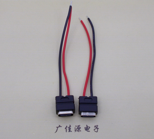 黄江镇type c2p防水母座焊线式带线注塑成型带接线端子/不带接线端子充电连接器